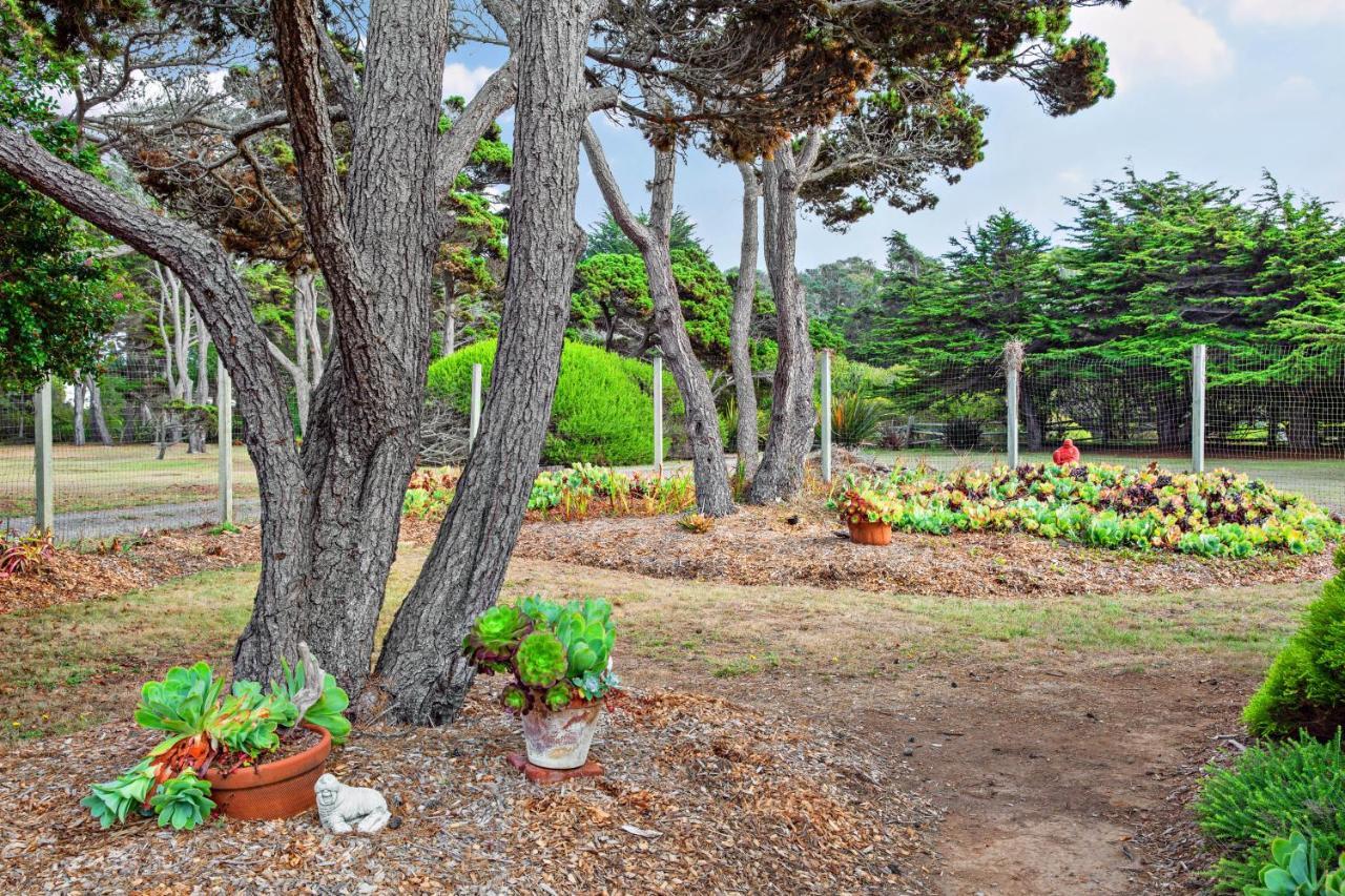 Sunset Point Villa Fort Bragg Exterior foto